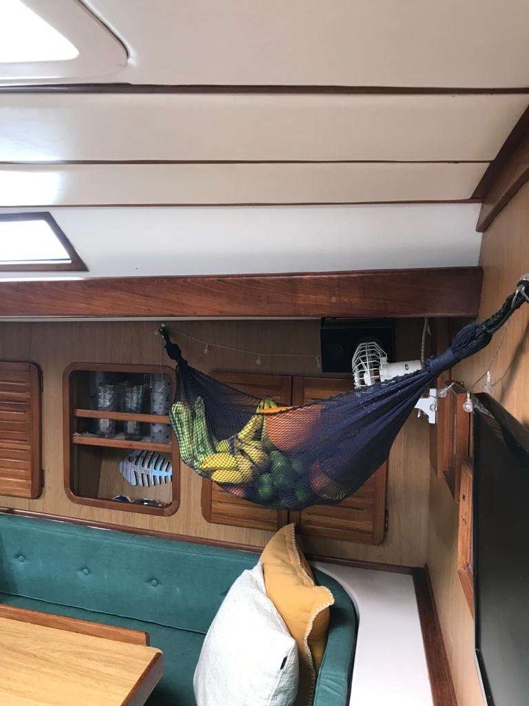 Ecochic: quando elegância e sustentabilidade caminham juntas