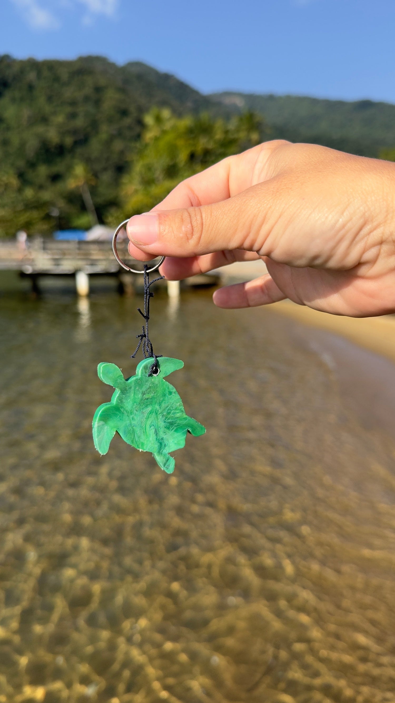 Um mundo melhor começa em casa: pequenas atitudes que fazem grande diferença