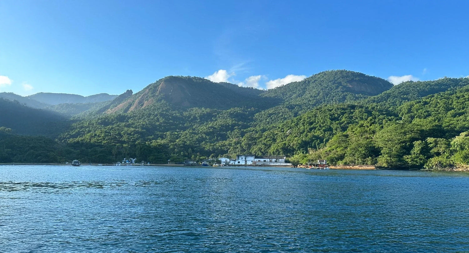 Do mar à terra