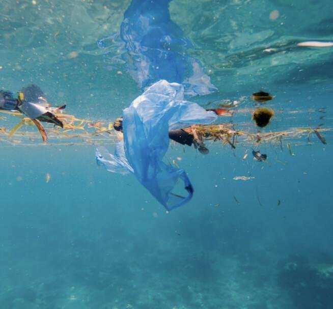 Praia local, lixo global e o capitalismo