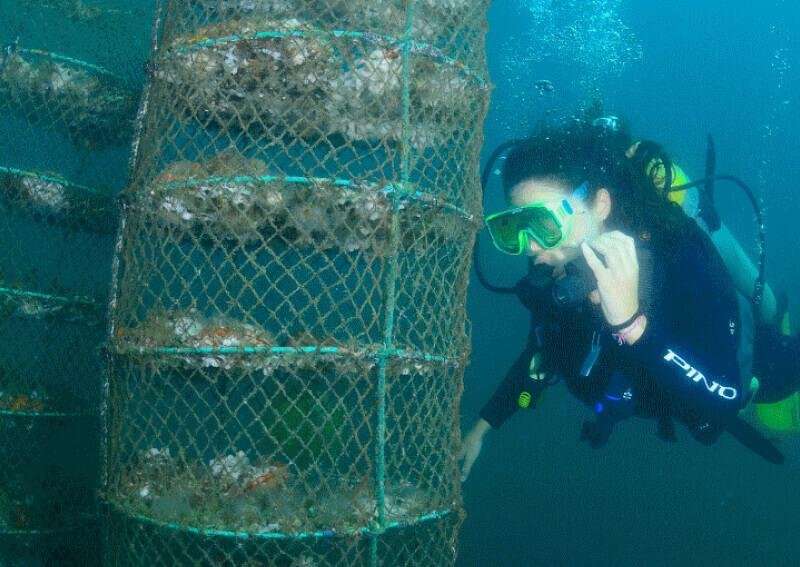 Lugar de concha é onde ela quiser!
