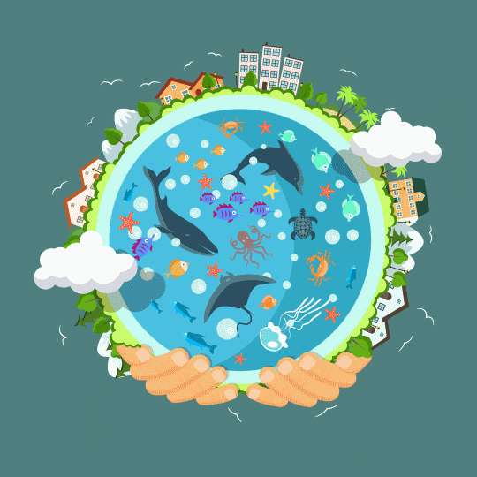 Do desperdício à valorização: a economia circular pode salvar o planeta