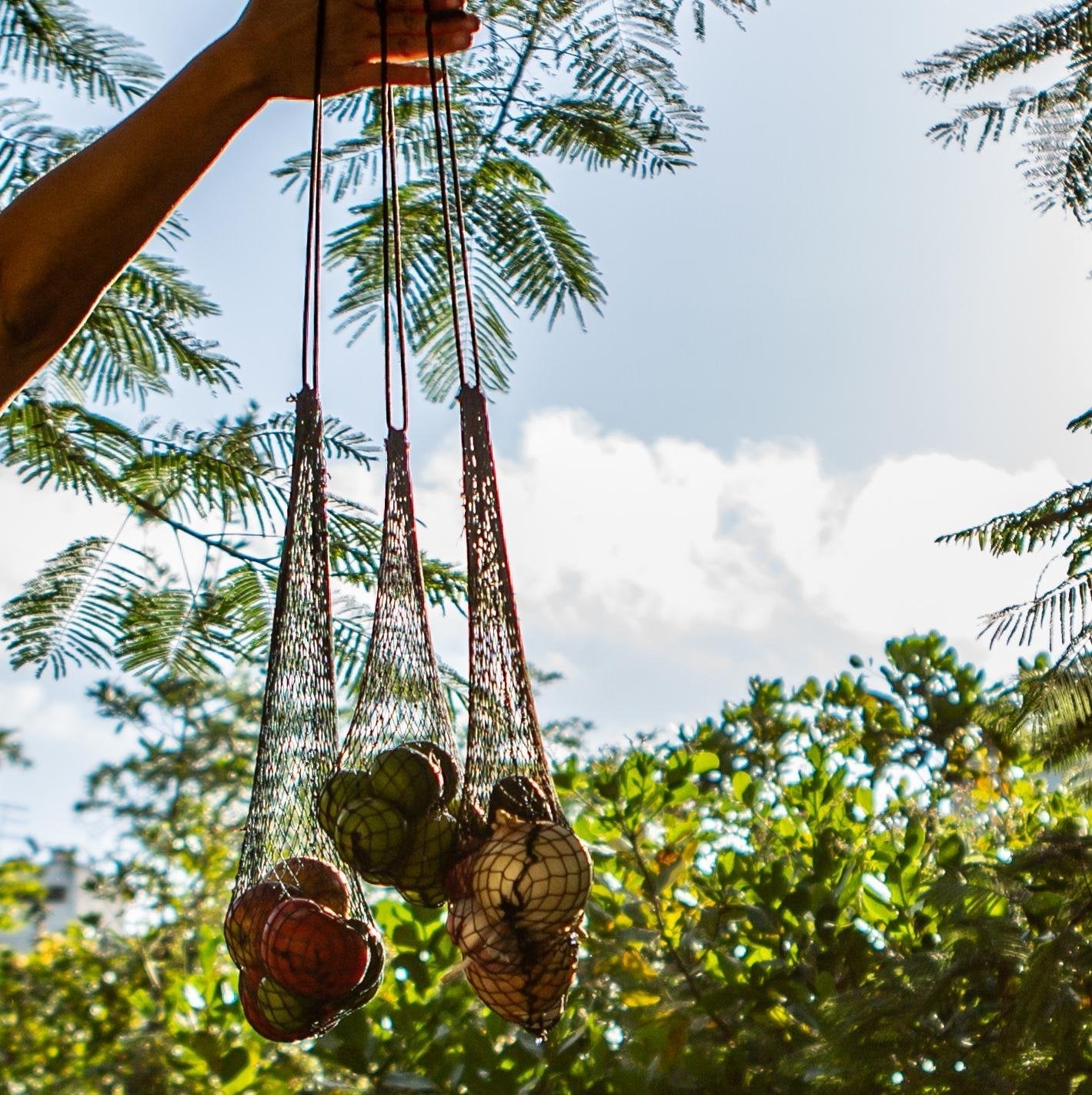 + gnt junto com a gnt: o apoio do Funbio