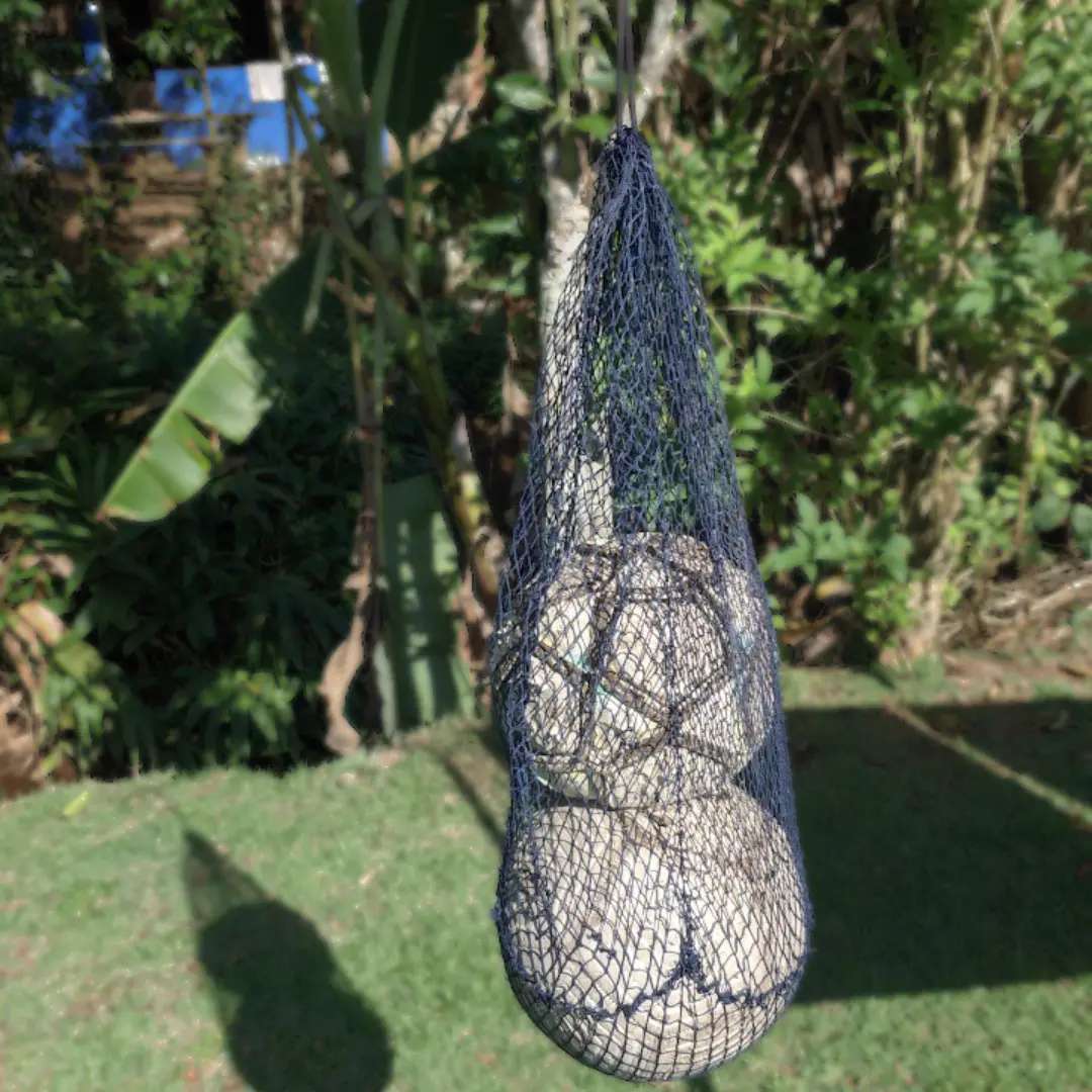 Sacão do seu Filinho