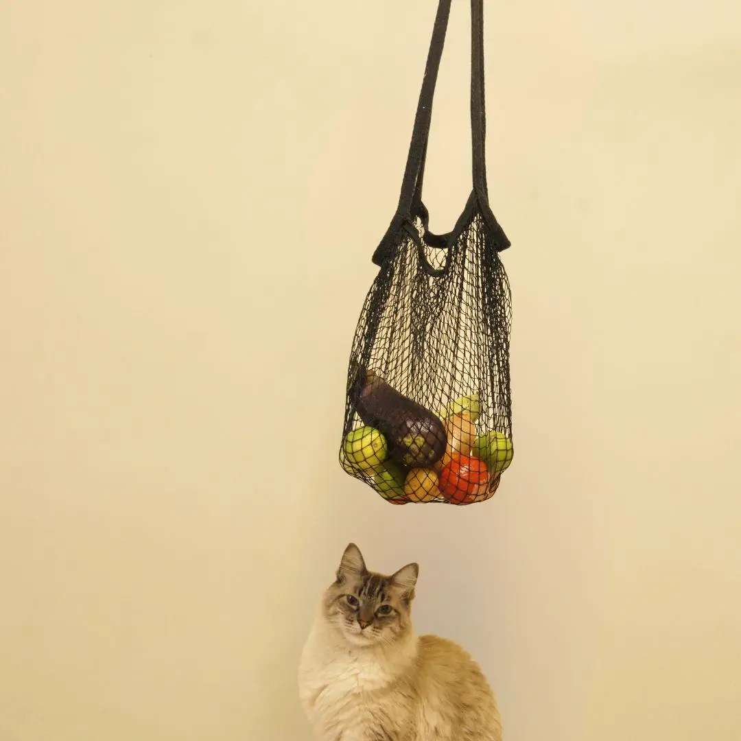 Bolsa Balaio - Ecobag de rede de pesca estilo Francês