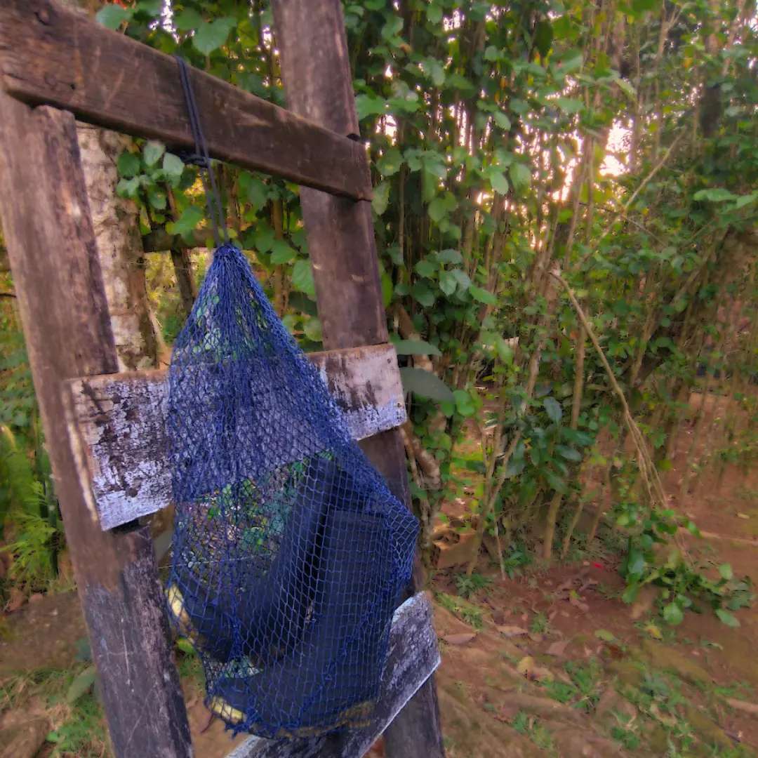 Sacão do seu Filinho