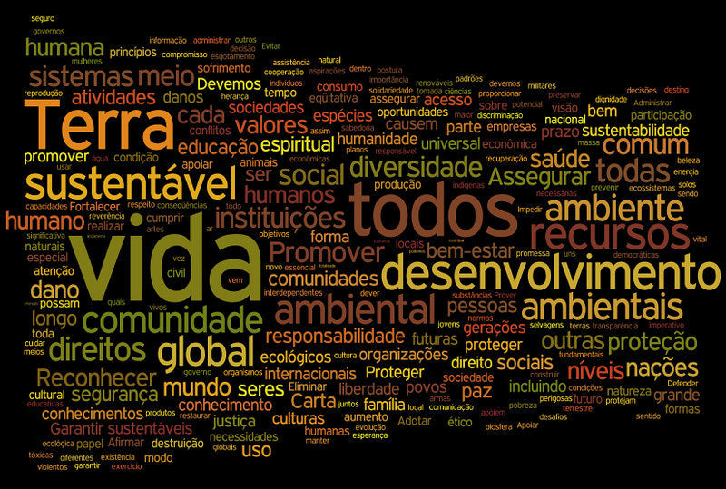 Dicionário de Sustentabilidade e Meio Ambiente: Termos essenciais para quem quer entender e transformar o mundo