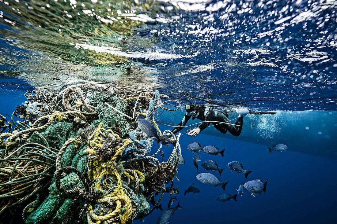 Reconhecido pela ONU, projeto reutiliza redes de pesca descartadas e impulsiona economia circular no Brasil