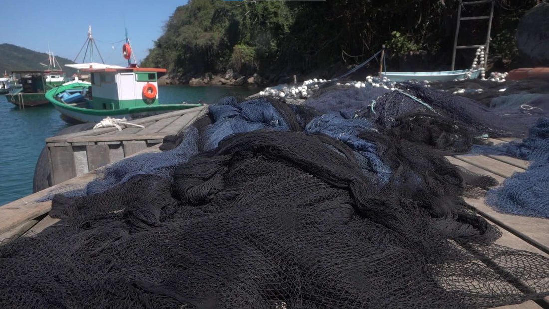 Como as redes de pesca viraram um problema ambiental global