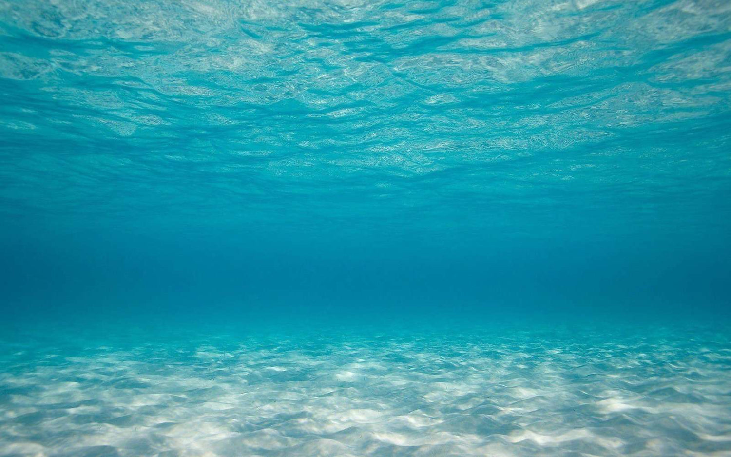 El Niño, tempo seco e ondas de calor: o que esperar do próximo verão?