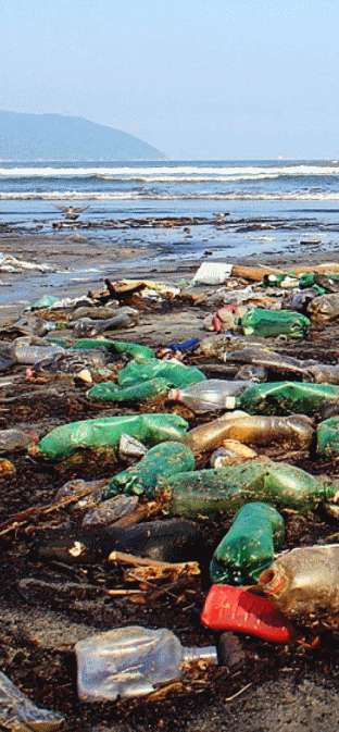 Todo plástico deve ser reciclado da mesma forma? Entenda os desafios do reaproveitamento no Brasil