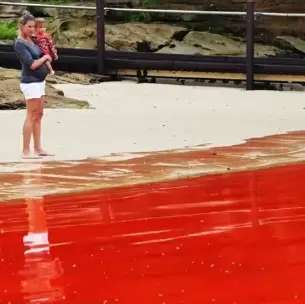 Oceano bate recorde de calor pelo sétimo ano consecutivo