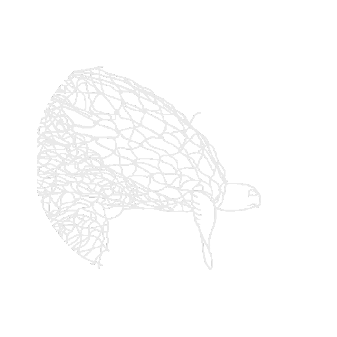 Cópia de Cópia de Cópia de Cópia de costurando redes (10)