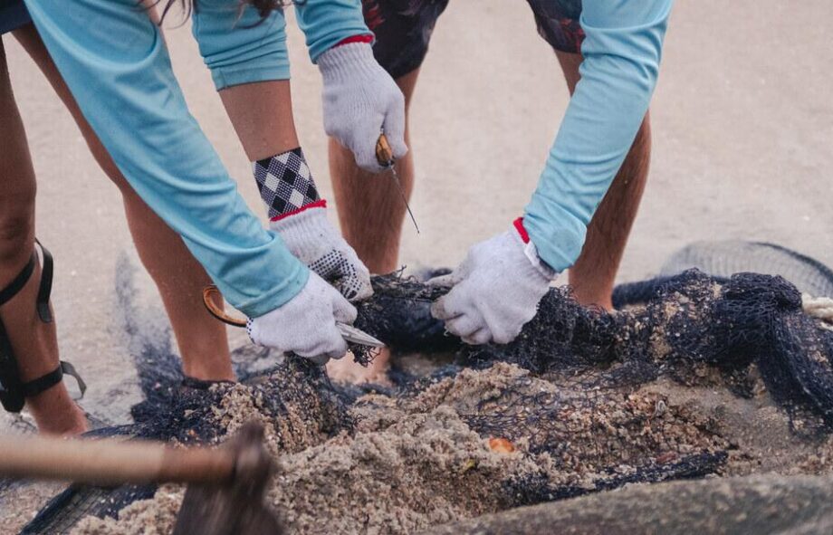 20250219090220_0685301c-1a10-4da3-860d-7a109b20cd5a