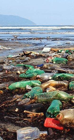 Image01334_0f7d3300-2c7b-4e1b-9217-0a5945f2653a