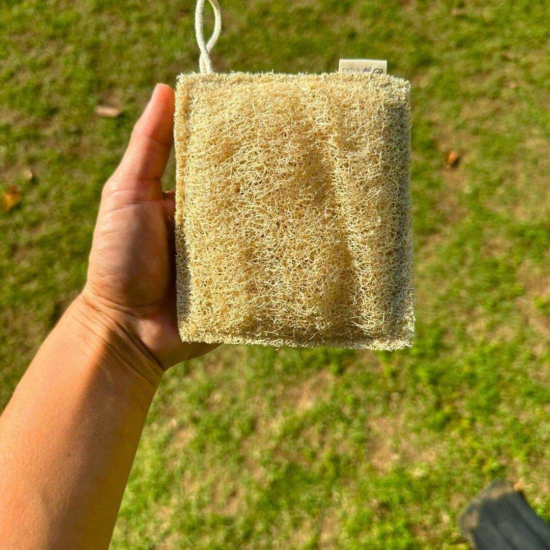 Bucha vegetal quadradinha - Imagem 2